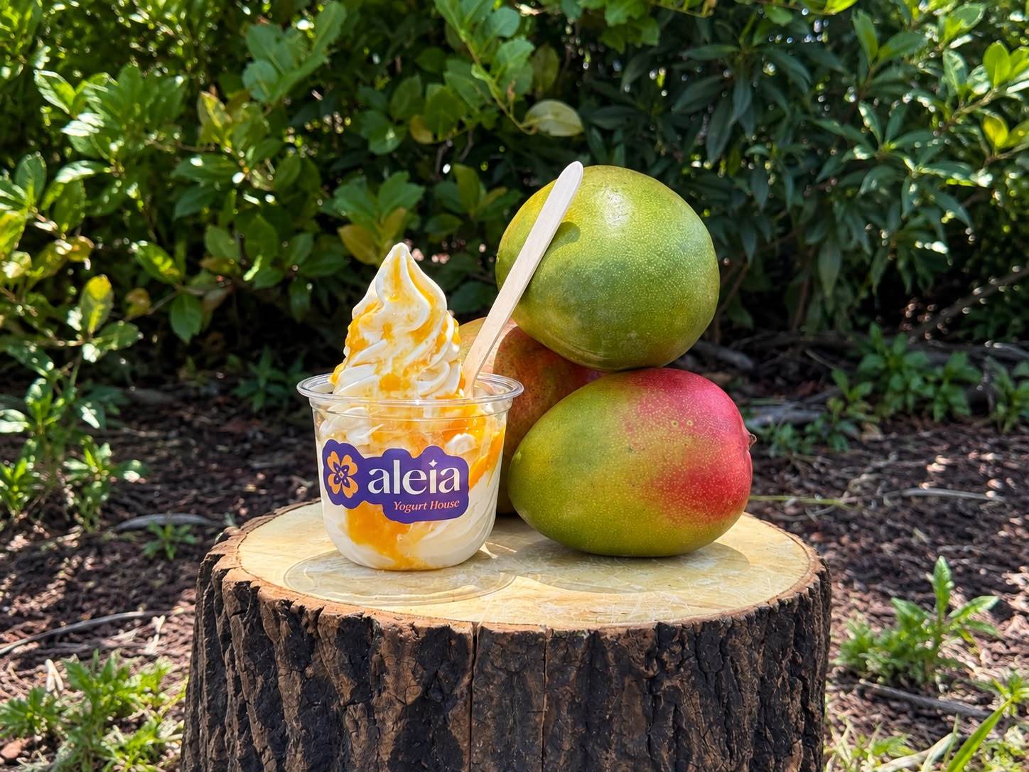 An aleia cup of frozen yogurt swirled with mango, beside a stack of fresh mangoes on a tree stump